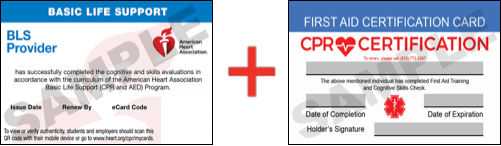 Sample American Heart Association AHA BLS CPR Card Certificaiton and First Aid Certification Card from CPR Certification Houston