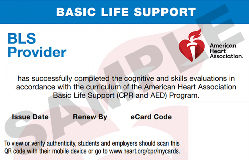 cpr-classes-houston-aha-bls-cpr-cpr-certification-houston